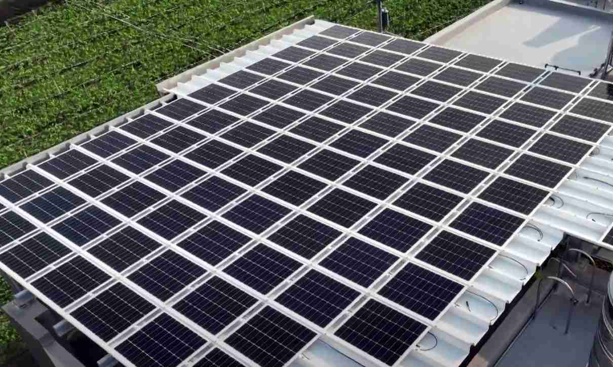 888.BY集团电子游戏SunSteel光电浪板升级双玻结构，，，以提升机械负载强度及气候耐候度，，，，可广泛运用于多元场域